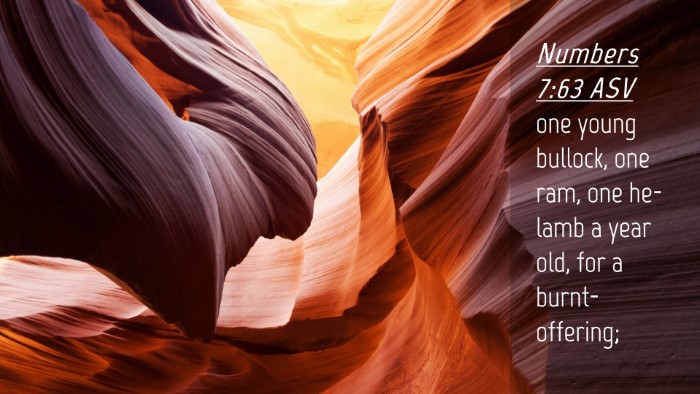Picture 04 - Numbers 7:63 ASV Desktop Wallpaper - one young bullock, one ram, one he-lamb a year - Desktop Bible Verse Wallpaper