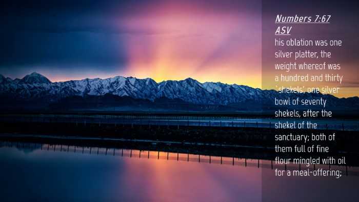 Picture 04 - Numbers 7:67 ASV Desktop Wallpaper - his oblation was one silver platter, the weight - Desktop Bible Verse Wallpaper