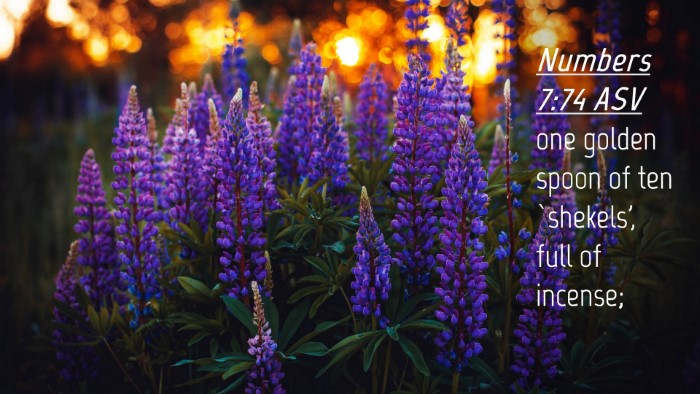 Picture 04 - Numbers 7:74 ASV Desktop Wallpaper - one golden spoon of ten `shekels', full of - Desktop Bible Verse Wallpaper