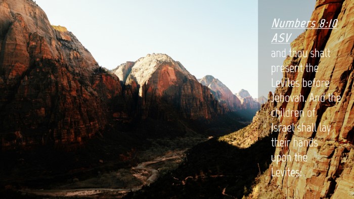 Picture 04 - Numbers 8:10 ASV Desktop Wallpaper - and thou shalt present the Levites before - Desktop Bible Verse Wallpaper