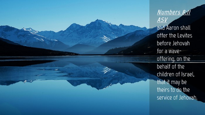 Picture 04 - Numbers 8:11 ASV Desktop Wallpaper - and Aaron shall offer the Levites before Jehovah - Desktop Bible Verse Wallpaper