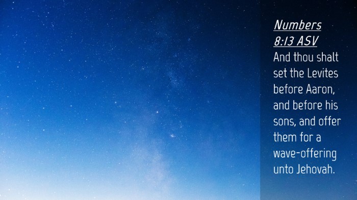 Picture 04 - Numbers 8:13 ASV Desktop Wallpaper - And thou shalt set the Levites before Aaron, and - Desktop Bible Verse Wallpaper