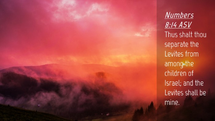 Picture 04 - Numbers 8:14 ASV Desktop Wallpaper - Thus shalt thou separate the Levites from among - Desktop Bible Verse Wallpaper