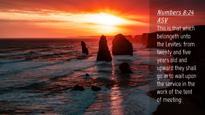 Picture 04 - Numbers 8:24 ASV Desktop Wallpaper - This is that which belongeth unto the Levites: - Desktop Bible Verse Wallpaper