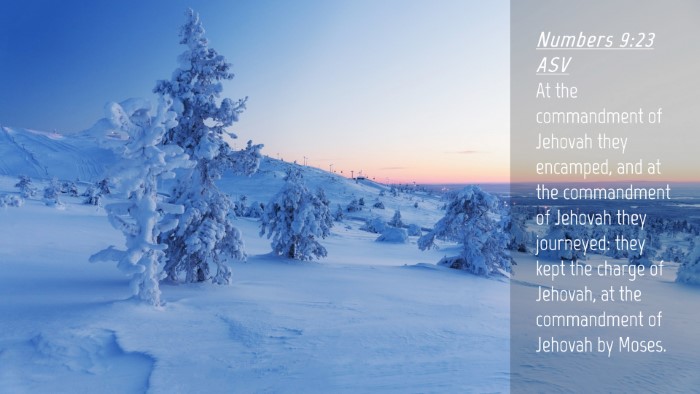 Picture 04 - Numbers 9:23 ASV Desktop Wallpaper - At the commandment of Jehovah they encamped, and - Desktop Bible Verse Wallpaper