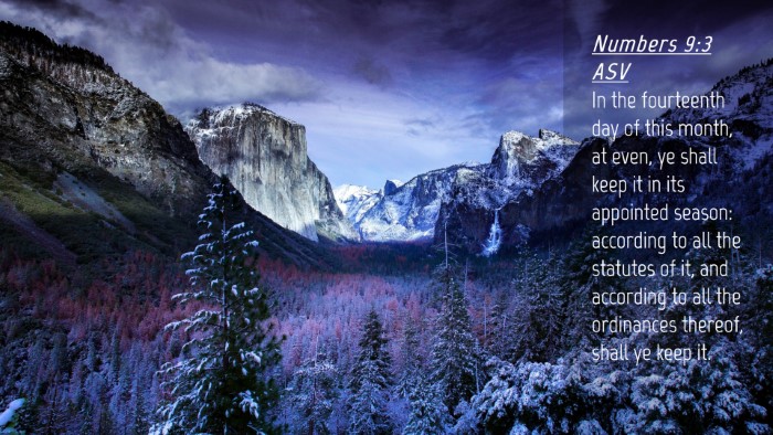 Picture 04 - Numbers 9:3 ASV Desktop Wallpaper - In the fourteenth day of this month, at even, ye - Desktop Bible Verse Wallpaper