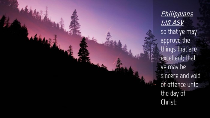 Picture 04 - Philippians 1:10 ASV Desktop Wallpaper - so that ye may approve the things that are - Desktop Bible Verse Wallpaper