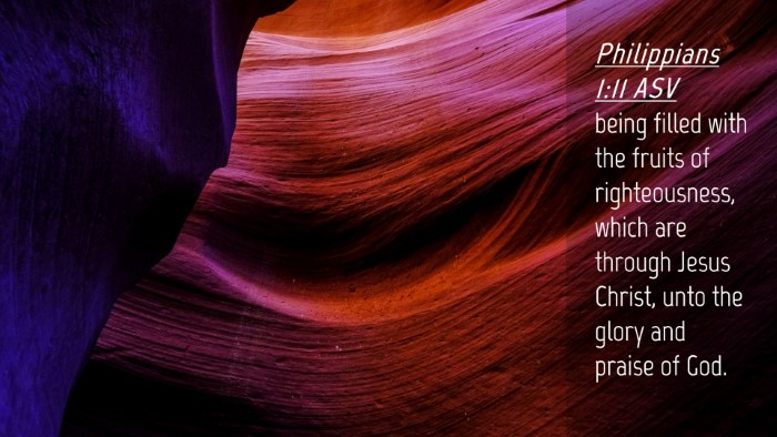 Picture 04 - Philippians 1:11 ASV Desktop Wallpaper - being filled with the fruits of righteousness, - Desktop Bible Verse Wallpaper