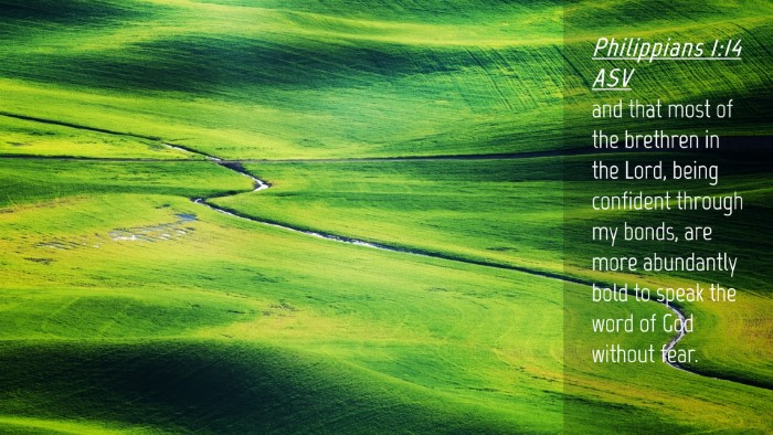 Picture 04 - Philippians 1:14 ASV Desktop Wallpaper - and that most of the brethren in the Lord, being - Desktop Bible Verse Wallpaper