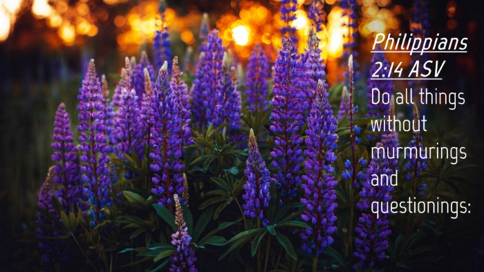 Picture 04 - Philippians 2:14 ASV Desktop Wallpaper - Do all things without murmurings and - Desktop Bible Verse Wallpaper