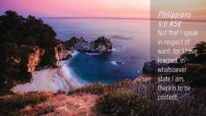 Picture 04 - Philippians 4:11 ASV Desktop Wallpaper - Not that I speak in respect of want: for I have - Desktop Bible Verse Wallpaper