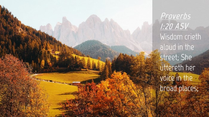 Picture 04 - Proverbs 1:20 ASV Desktop Wallpaper - Wisdom crieth aloud in the street; She uttereth - Desktop Bible Verse Wallpaper