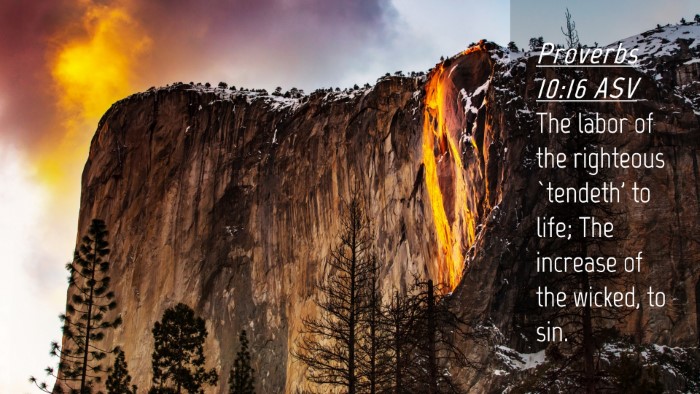 Picture 04 - Proverbs 10:16 ASV Desktop Wallpaper - The labor of the righteous `tendeth' to life; The - Desktop Bible Verse Wallpaper