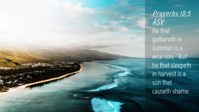 Picture 04 - Proverbs 10:5 ASV Desktop Wallpaper - He that gathereth in summer is a wise son; `But' - Desktop Bible Verse Wallpaper