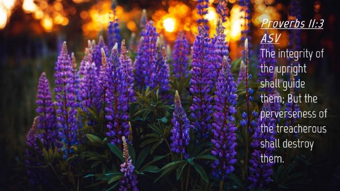 Picture 04 - Proverbs 11:3 ASV Desktop Wallpaper - The integrity of the upright shall guide them; - Desktop Bible Verse Wallpaper