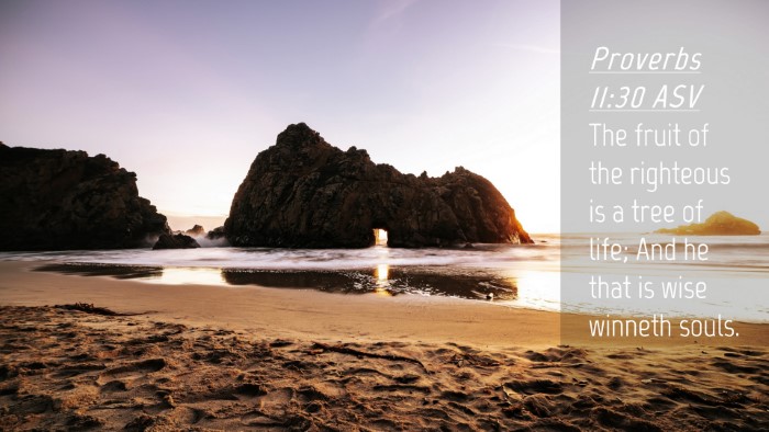 Picture 04 - Proverbs 11:30 ASV Desktop Wallpaper - The fruit of the righteous is a tree of life; And - Desktop Bible Verse Wallpaper