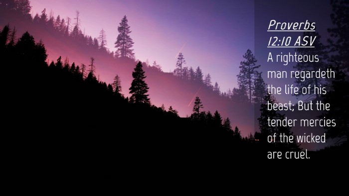 Picture 04 - Proverbs 12:10 ASV Desktop Wallpaper - A righteous man regardeth the life of his beast; - Desktop Bible Verse Wallpaper