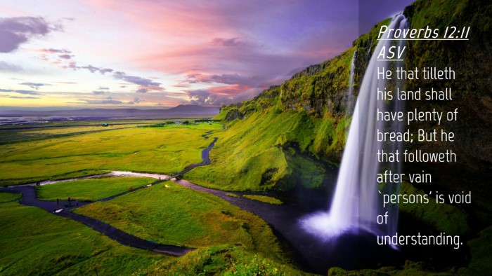 Picture 04 - Proverbs 12:11 ASV Desktop Wallpaper - He that tilleth his land shall have plenty of - Desktop Bible Verse Wallpaper