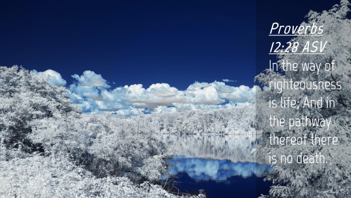 Picture 04 - Proverbs 12:28 ASV Desktop Wallpaper - In the way of righteousness is life; And in the - Desktop Bible Verse Wallpaper
