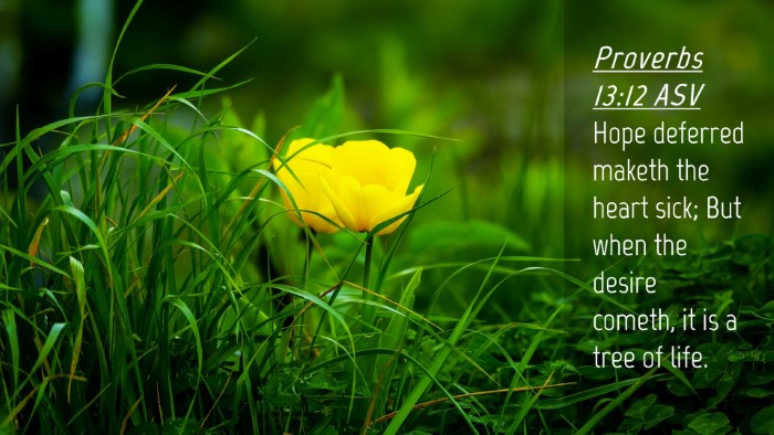 Picture 04 - Proverbs 13:12 ASV Desktop Wallpaper - Hope deferred maketh the heart sick; But when the - Desktop Bible Verse Wallpaper