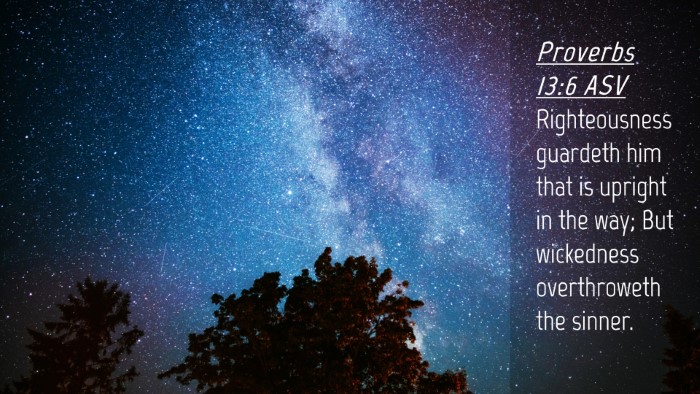 Picture 04 - Proverbs 13:6 ASV Desktop Wallpaper - Righteousness guardeth him that is upright in the - Desktop Bible Verse Wallpaper
