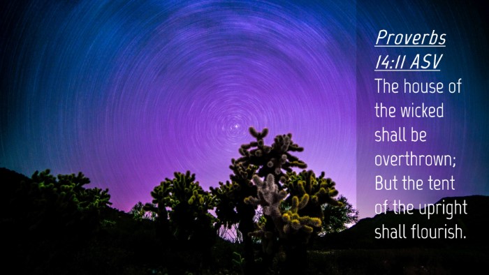 Picture 04 - Proverbs 14:11 ASV Desktop Wallpaper - The house of the wicked shall be overthrown; But - Desktop Bible Verse Wallpaper