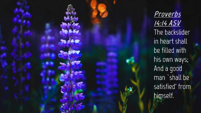 Picture 04 - Proverbs 14:14 ASV Desktop Wallpaper - The backslider in heart shall be filled with his - Desktop Bible Verse Wallpaper