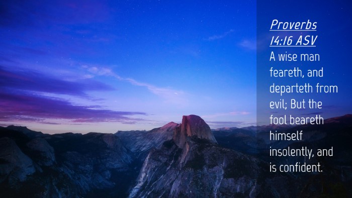 Picture 04 - Proverbs 14:16 ASV Desktop Wallpaper - A wise man feareth, and departeth from evil; But - Desktop Bible Verse Wallpaper