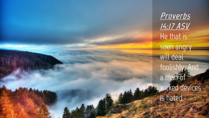 Picture 04 - Proverbs 14:17 ASV Desktop Wallpaper - He that is soon angry will deal foolishly; And a - Desktop Bible Verse Wallpaper