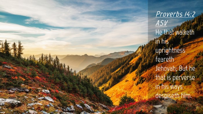 Picture 04 - Proverbs 14:2 ASV Desktop Wallpaper - He that walketh in his uprightness feareth - Desktop Bible Verse Wallpaper