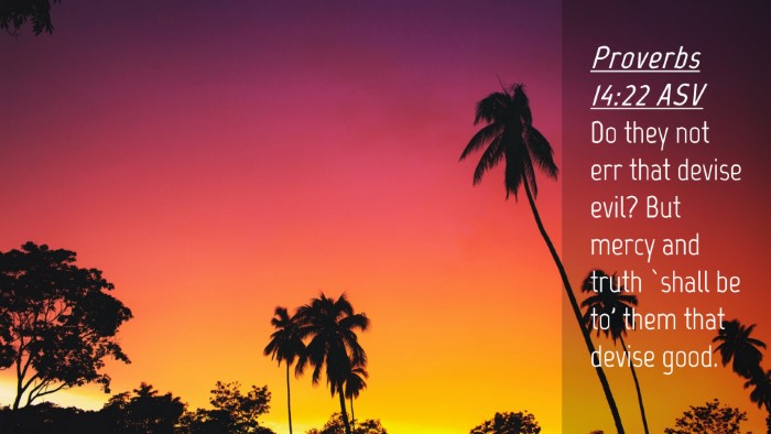 Picture 04 - Proverbs 14:22 ASV Desktop Wallpaper - Do they not err that devise evil? But mercy and - Desktop Bible Verse Wallpaper