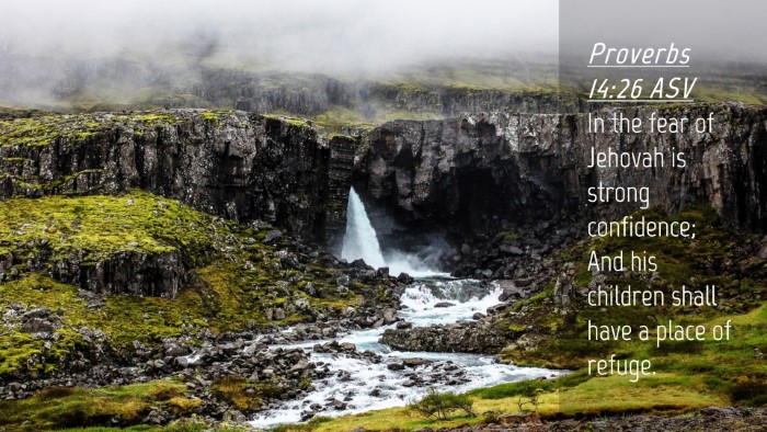 Picture 04 - Proverbs 14:26 ASV Desktop Wallpaper - In the fear of Jehovah is strong confidence; And - Desktop Bible Verse Wallpaper