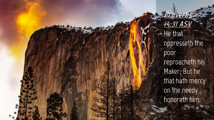 Picture 04 - Proverbs 14:31 ASV Desktop Wallpaper - He that oppresseth the poor reproacheth his - Desktop Bible Verse Wallpaper