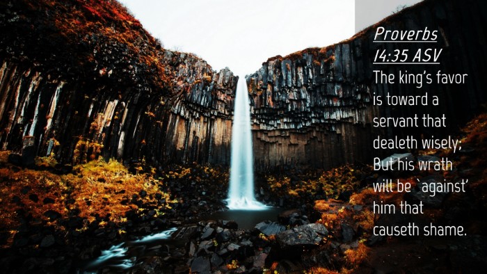 Picture 04 - Proverbs 14:35 ASV Desktop Wallpaper - The king's favor is toward a servant that dealeth - Desktop Bible Verse Wallpaper