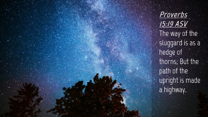 Picture 04 - Proverbs 15:19 ASV Desktop Wallpaper - The way of the sluggard is as a hedge of thorns; - Desktop Bible Verse Wallpaper