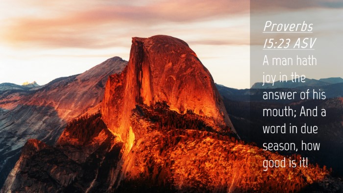 Picture 04 - Proverbs 15:23 ASV Desktop Wallpaper - A man hath joy in the answer of his mouth; And a - Desktop Bible Verse Wallpaper