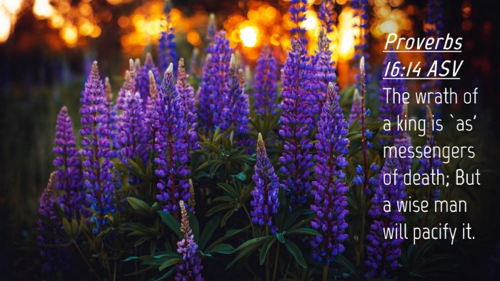 Picture 04 - Proverbs 16:14 ASV Desktop Wallpaper - The wrath of a king is `as' messengers of death; - Desktop Bible Verse Wallpaper