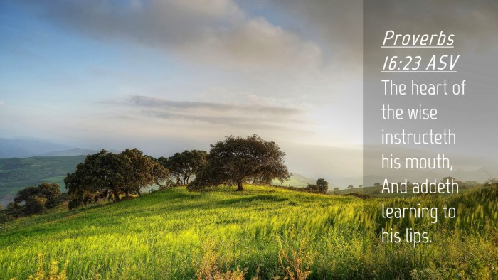 Picture 04 - Proverbs 16:23 ASV Desktop Wallpaper - The heart of the wise instructeth his mouth, And - Desktop Bible Verse Wallpaper