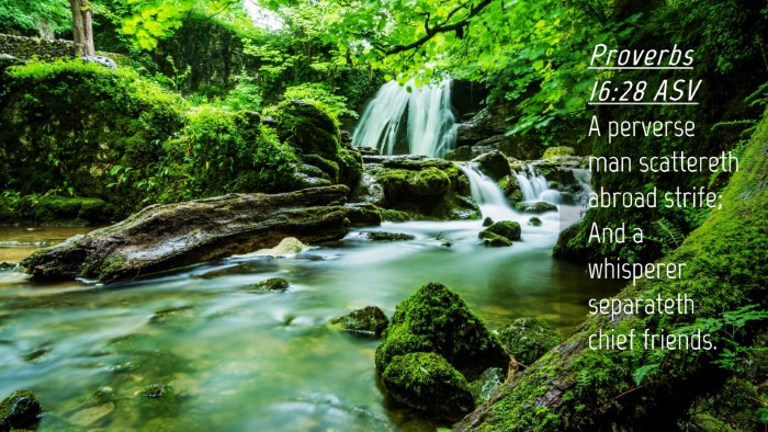 Picture 04 - Proverbs 16:28 ASV Desktop Wallpaper - A perverse man scattereth abroad strife; And a - Desktop Bible Verse Wallpaper