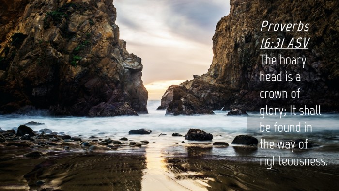 Picture 04 - Proverbs 16:31 ASV Desktop Wallpaper - The hoary head is a crown of glory; It shall be - Desktop Bible Verse Wallpaper