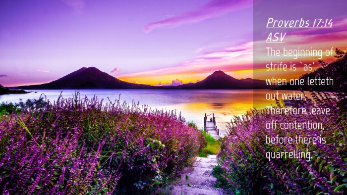 Picture 04 - Proverbs 17:14 ASV Desktop Wallpaper - The beginning of strife is `as' when one letteth - Desktop Bible Verse Wallpaper