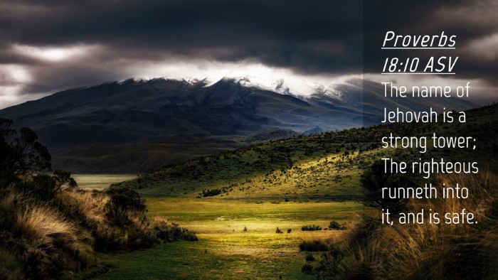 Picture 04 - Proverbs 18:10 ASV Desktop Wallpaper - The name of Jehovah is a strong tower; The - Desktop Bible Verse Wallpaper