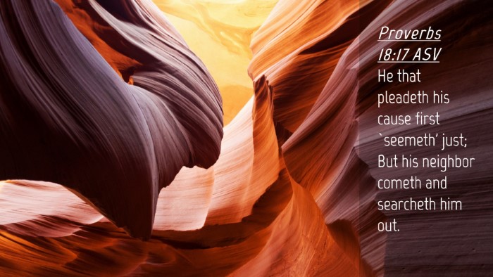 Picture 04 - Proverbs 18:17 ASV Desktop Wallpaper - He that pleadeth his cause first `seemeth' just; - Desktop Bible Verse Wallpaper