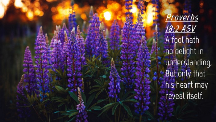 Picture 04 - Proverbs 18:2 ASV Desktop Wallpaper - A fool hath no delight in understanding, But only - Desktop Bible Verse Wallpaper