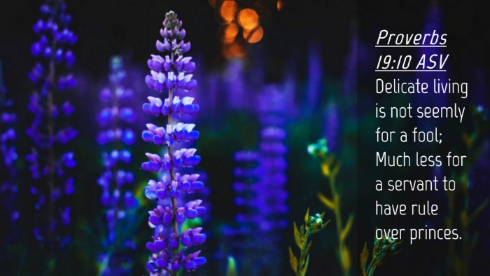Picture 04 - Proverbs 19:10 ASV Desktop Wallpaper - Delicate living is not seemly for a fool; Much - Desktop Bible Verse Wallpaper