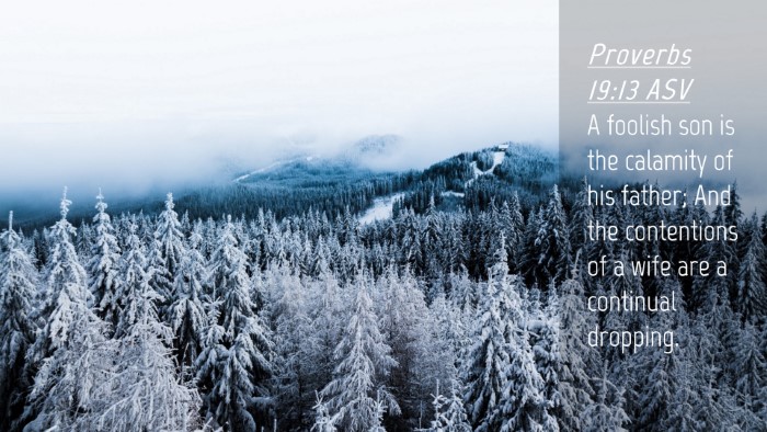 Picture 04 - Proverbs 19:13 ASV Desktop Wallpaper - A foolish son is the calamity of his father; And - Desktop Bible Verse Wallpaper