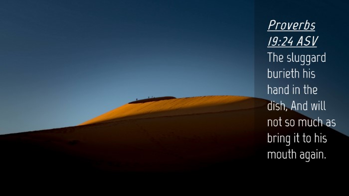 Picture 04 - Proverbs 19:24 ASV Desktop Wallpaper - The sluggard burieth his hand in the dish, And - Desktop Bible Verse Wallpaper