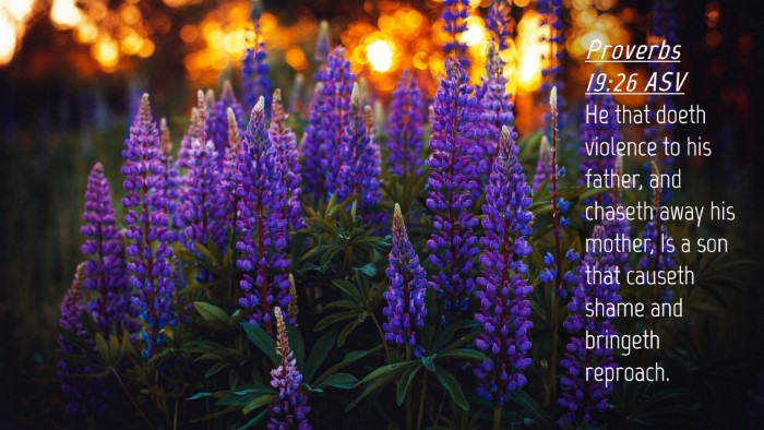 Picture 04 - Proverbs 19:26 ASV Desktop Wallpaper - He that doeth violence to his father, and chaseth - Desktop Bible Verse Wallpaper
