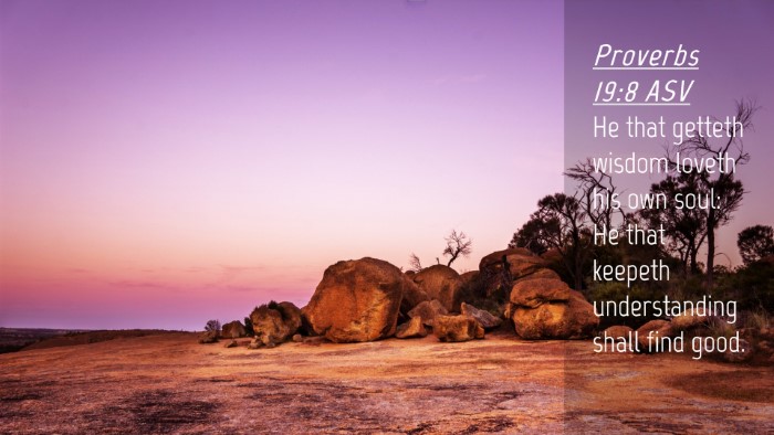 Picture 04 - Proverbs 19:8 ASV Desktop Wallpaper - He that getteth wisdom loveth his own soul: He - Desktop Bible Verse Wallpaper