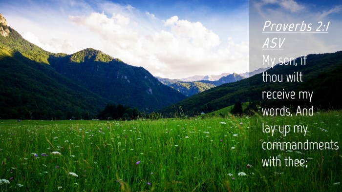 Picture 04 - Proverbs 2:1 ASV Desktop Wallpaper - My son, if thou wilt receive my words, And lay up - Desktop Bible Verse Wallpaper